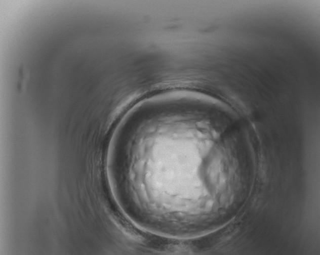 X0000077380107200610271956