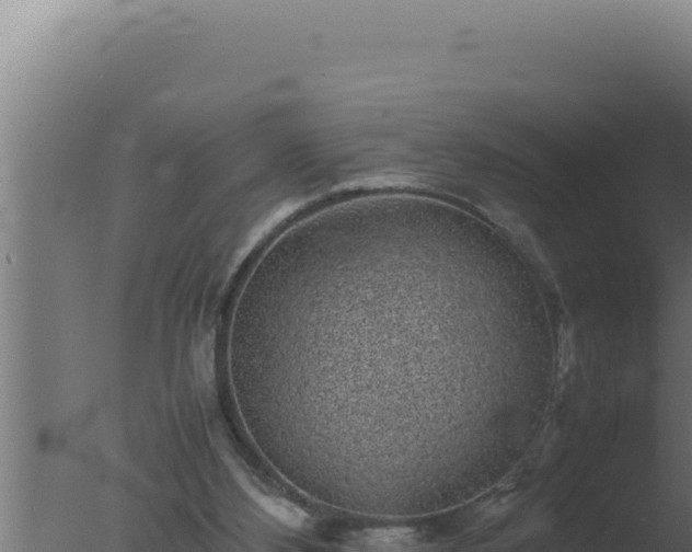 X0000077380108200610271956