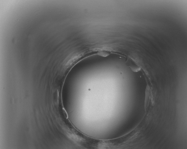 X0000077380109200610271956