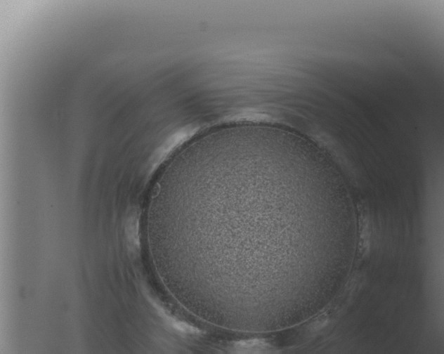 X0000077380112200610271956