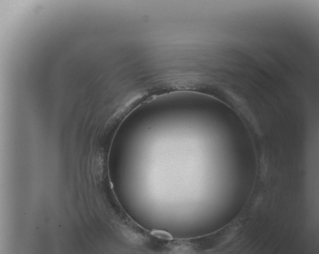 X0000077380113200610271956