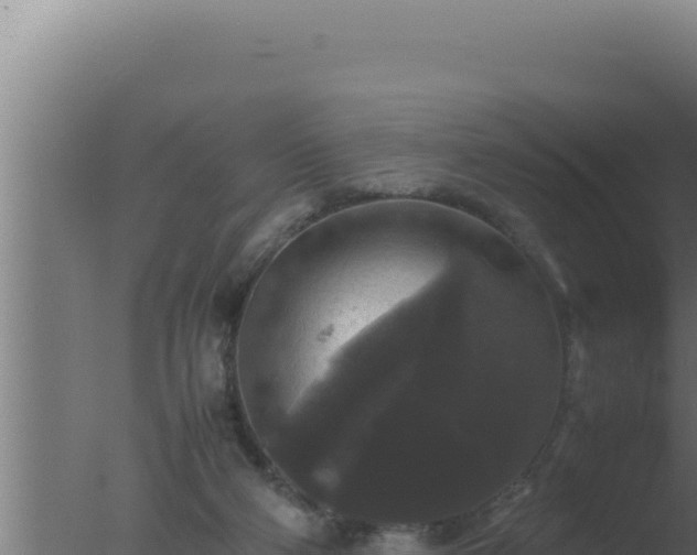 X0000077380114200610271956