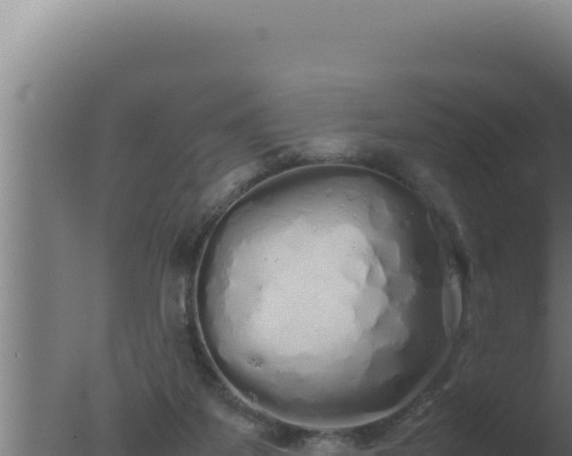 X0000077380115200610271956