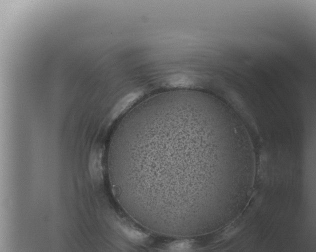 X0000077380116200610271956