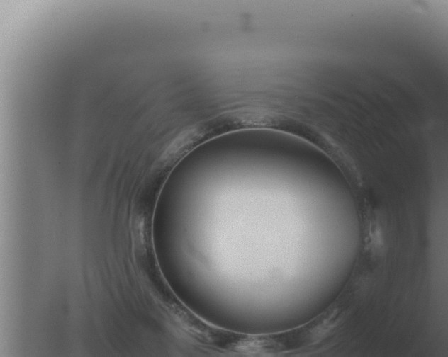 X0000077380117200610271956