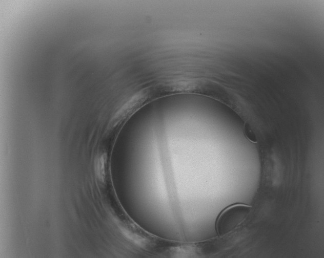 X0000077380118200610271956