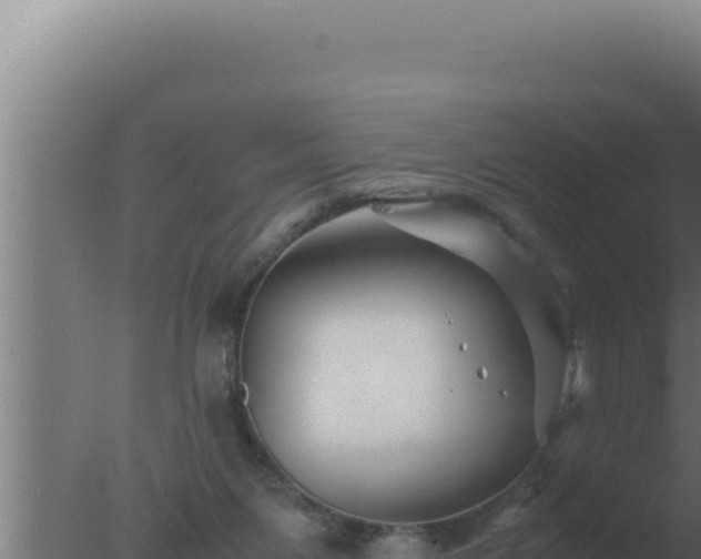 X0000077380119200610271956