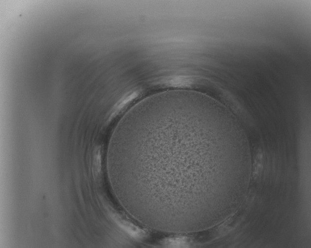 X0000077380120200610271956