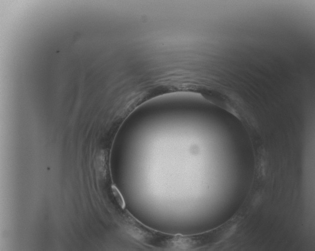 X0000077380121200610271956