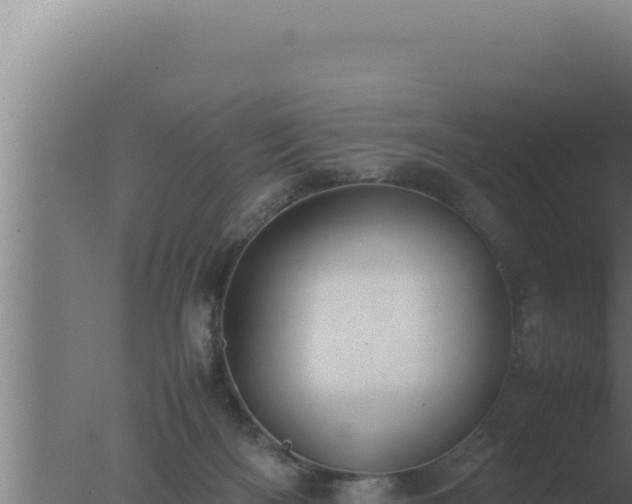 X0000077380122200610271956