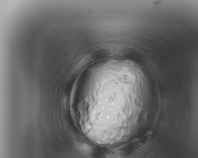 X0000077380123200610271956