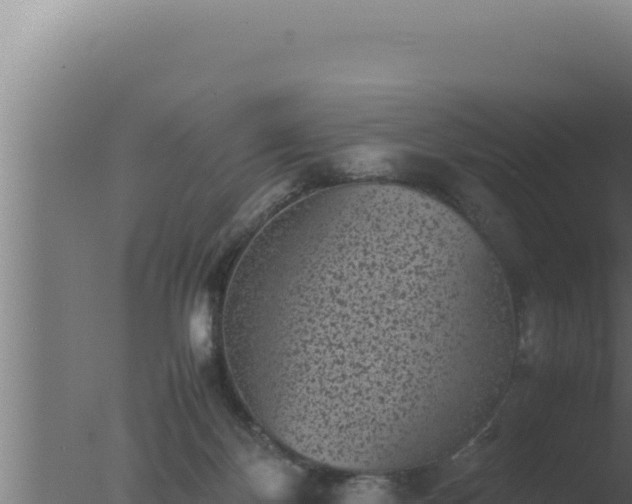 X0000077380124200610271956