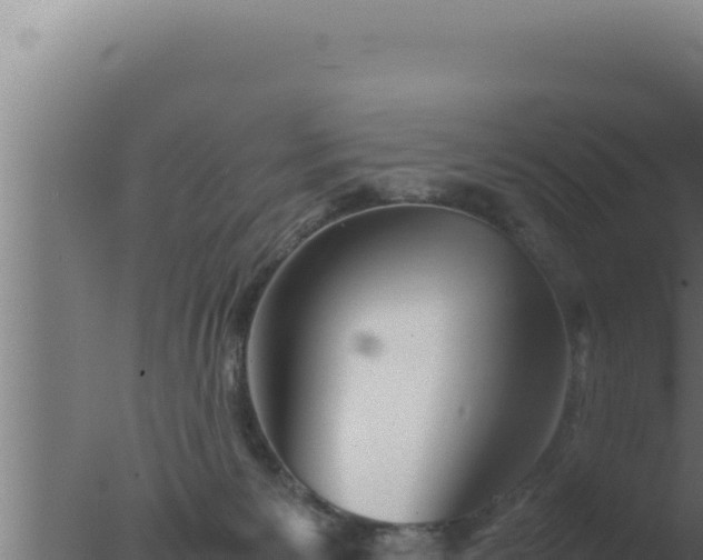 X0000077380125200610271956