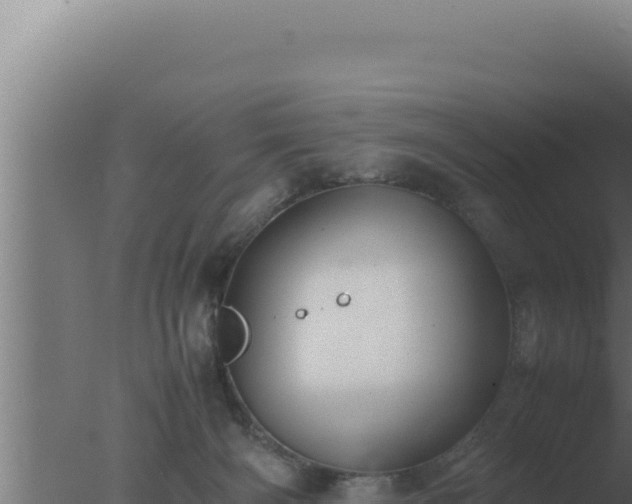 X0000077380126200610271956