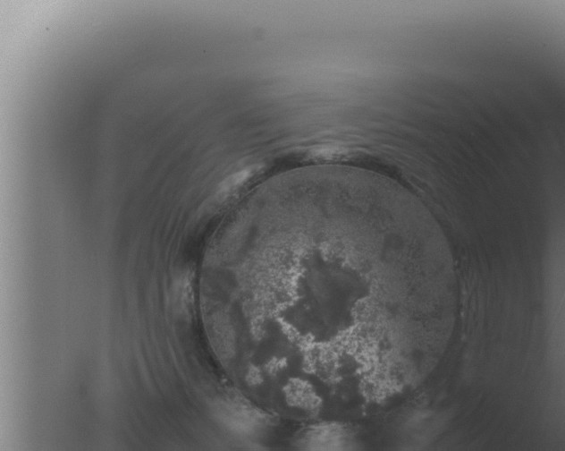 X0000077380127200610271956