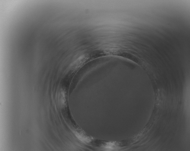 X0000077380130200610271956