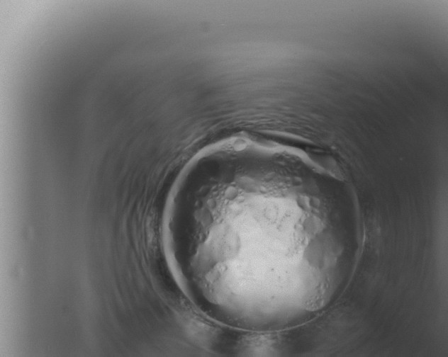 X0000077380131200610271956