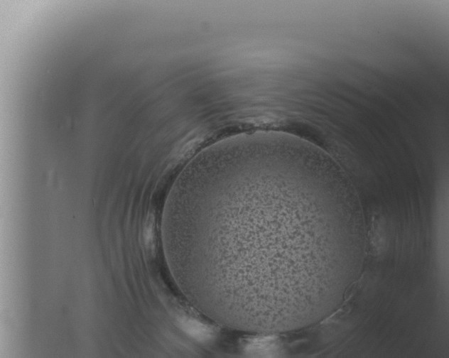 X0000077380132200610271956