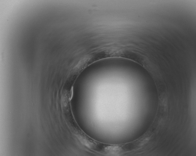 X0000077380133200610271956