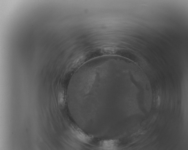 X0000077380134200610271956