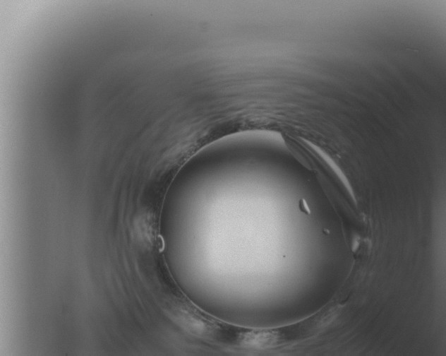 X0000077380135200610271956