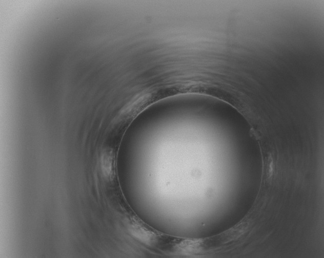 X0000077380138200610271956