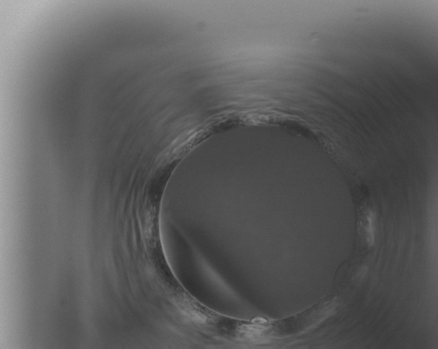 X0000077380139200610271956