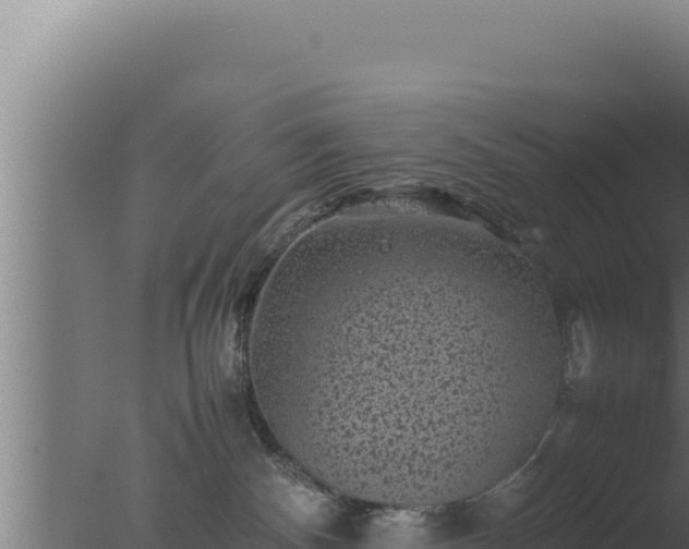 X0000077380140200610271956