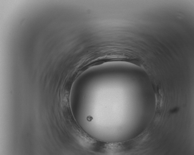 X0000077380141200610271956