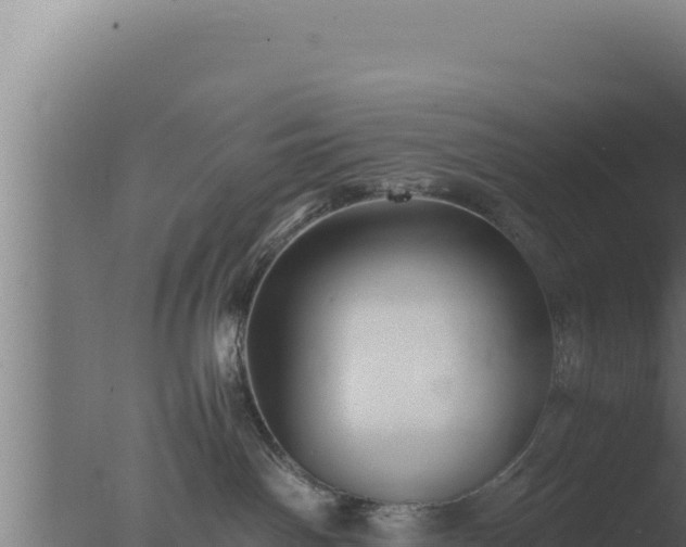 X0000077380142200610271956