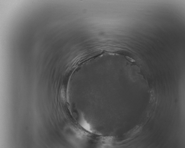 X0000077380143200610271956