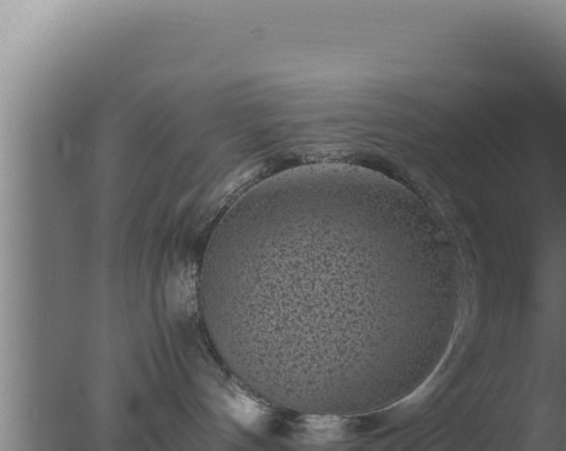 X0000077380144200610271956