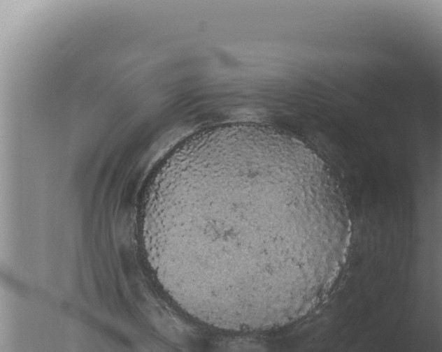 X0000077380146200610271955