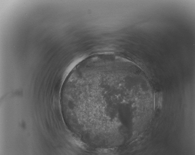 X0000077380147200610271955