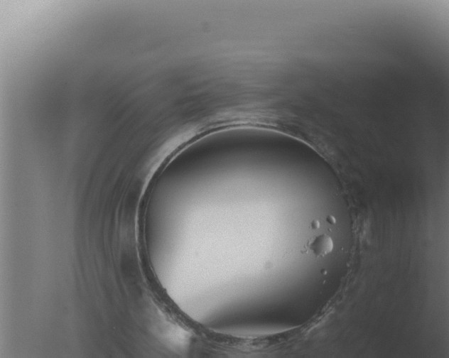 X0000077380148200610271955