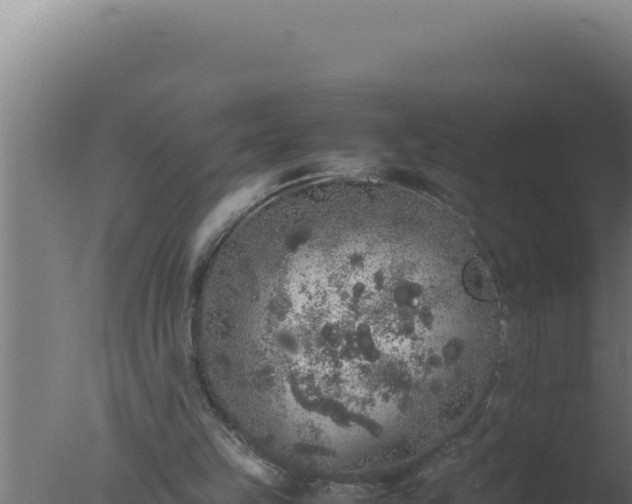 X0000077380149200610271955