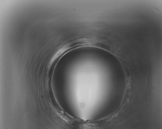 X0000077380150200610271955