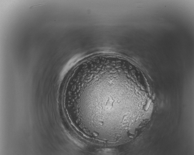 X0000077380151200610271955