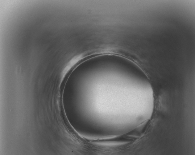 X0000077380152200610271955