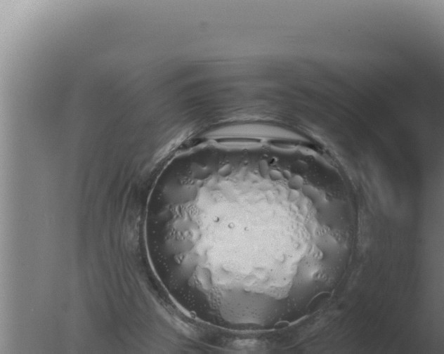 X0000077380153200610271955