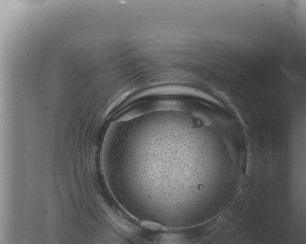 X0000077380154200610271955