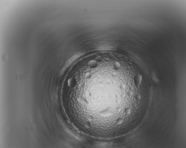 X0000077380155200610271955