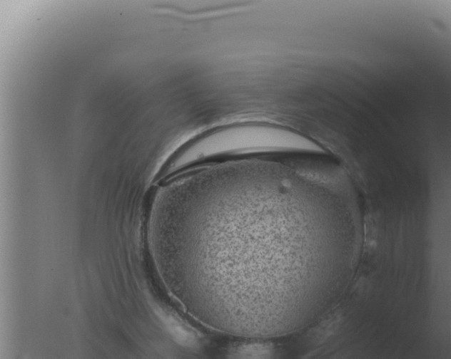 X0000077380156200610271955