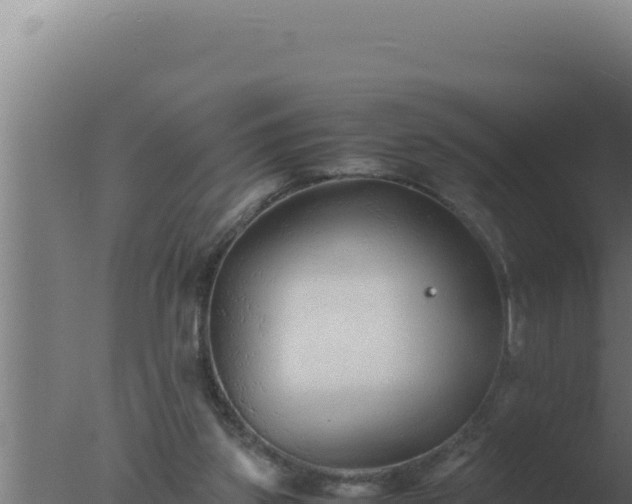 X0000077380157200610271955