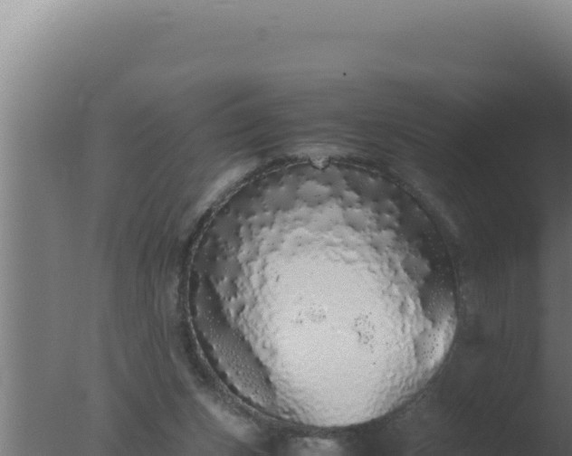 X0000077380159200610271955