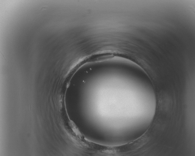 X0000077380160200610271955