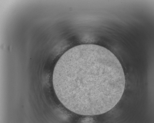 X0000077380162200610271955