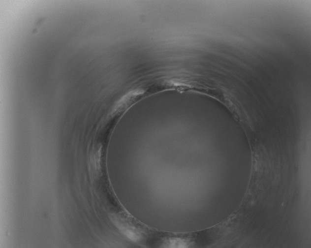 X0000077380163200610271955