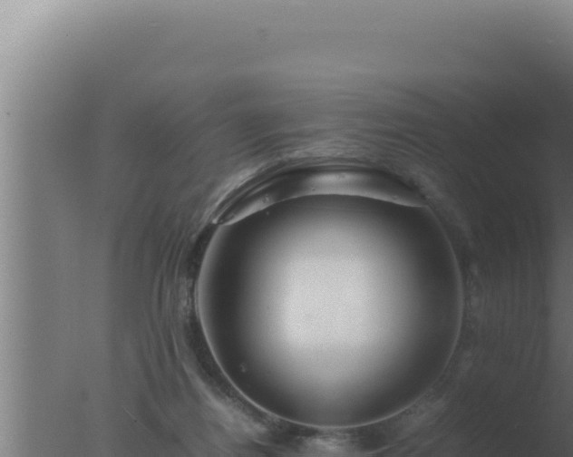 X0000077380164200610271955