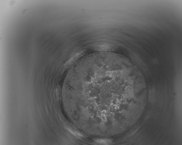 X0000077380165200610271955